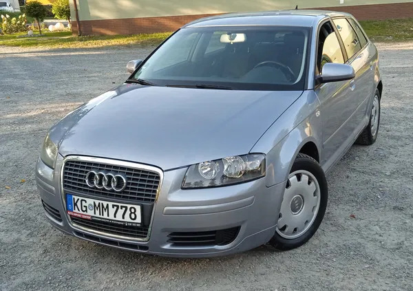 audi a3 Audi A3 cena 19800 przebieg: 205000, rok produkcji 2005 z Stopnica